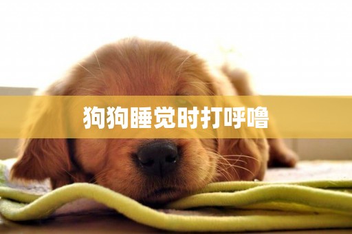 狗狗睡覺時打呼嚕