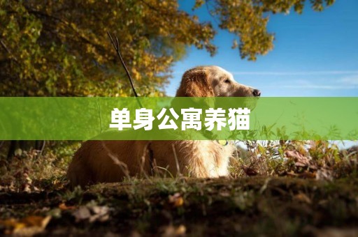 單身公寓養貓