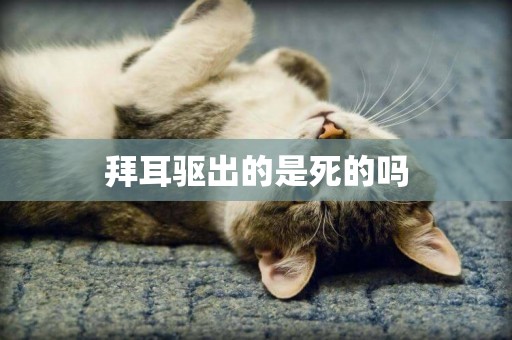 拜耳驅出的是死的嗎
