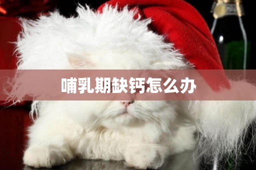 哺乳期缺鈣怎么辦
