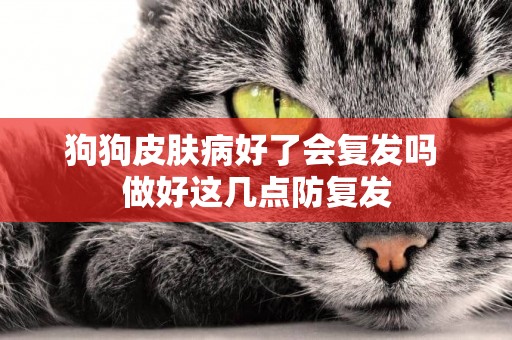 狗狗皮膚病好了會復發嗎 做好這幾點防復發