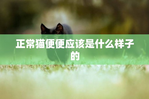 正常貓便便應該是什么樣子的