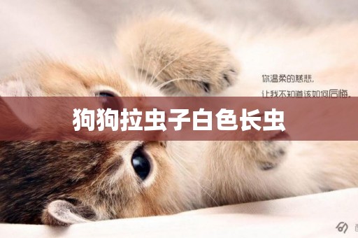 狗狗拉蟲子白色長蟲