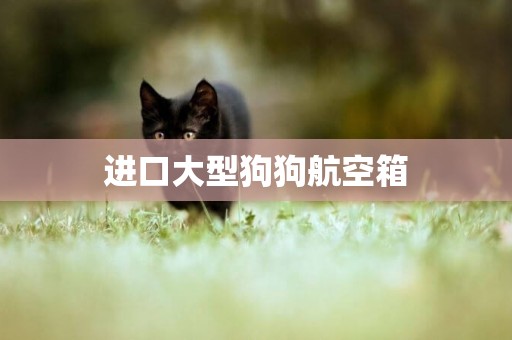 進口大型狗狗航空箱