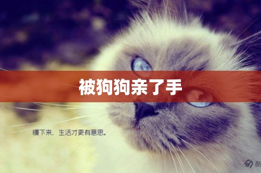 被狗狗親了手
