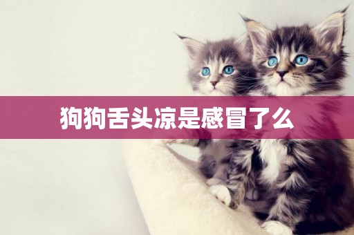 狗狗舌頭涼是感冒了么
