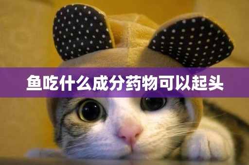 魚吃什么成分藥物可以起頭