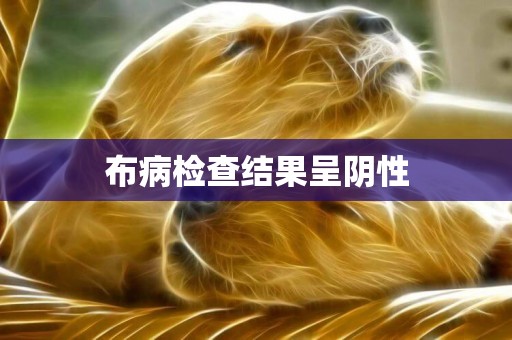 布病檢查結果呈陰性