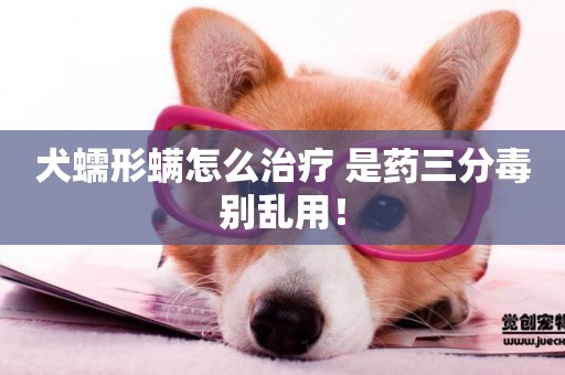 犬蠕形螨怎么治療 是藥三分毒別亂用！