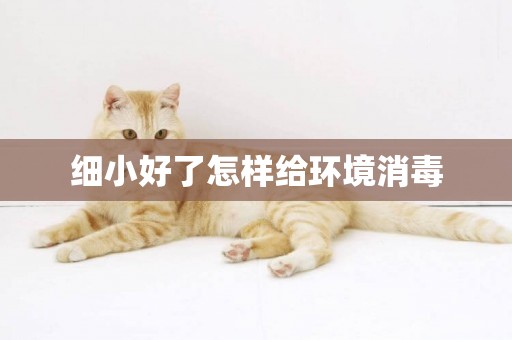 細小好了怎樣給環境消毒