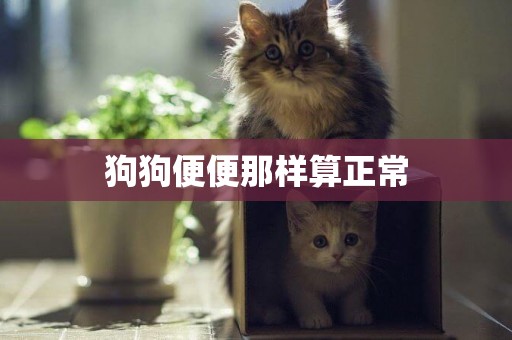 狗狗便便那樣算正常