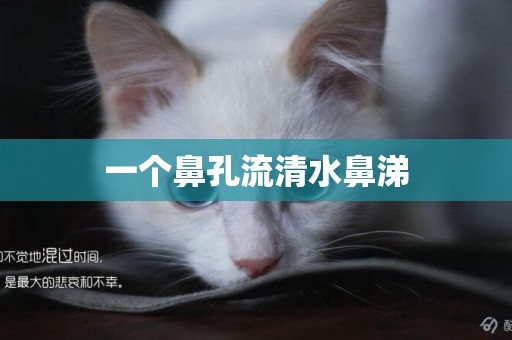 一個鼻孔流清水鼻涕
