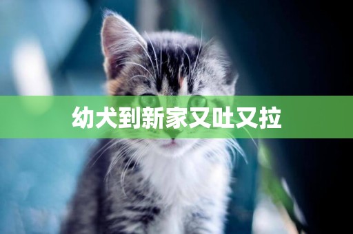幼犬到新家又吐又拉