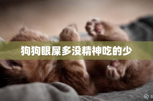 狗狗眼屎多沒精神吃的少