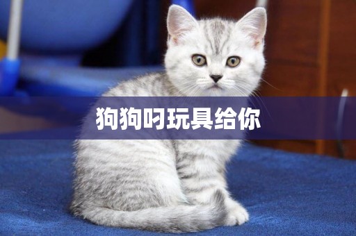 狗狗叼玩具給你