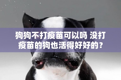 狗狗不打疫苗可以嗎 沒打疫苗的狗也活得好好的？