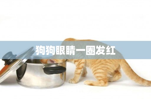 狗狗眼睛一圈發紅