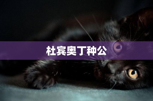 杜賓奧丁種公
