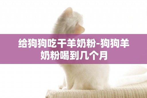 給狗狗吃干羊奶粉-狗狗羊奶粉喝到幾個月