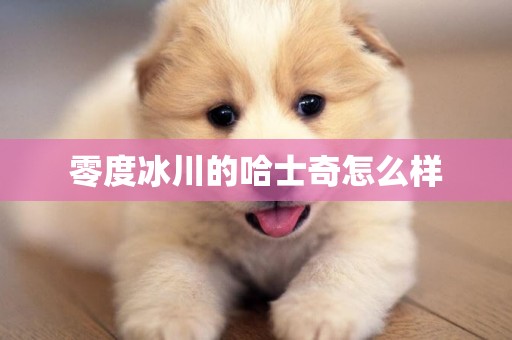 零度冰川的哈士奇怎么樣