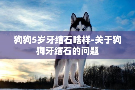 狗狗5歲牙結石啥樣-關于狗狗牙結石的問題