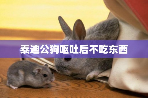 泰迪公狗嘔吐后不吃東西