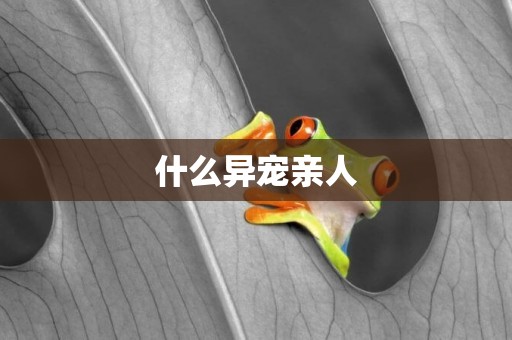 什么異寵親人