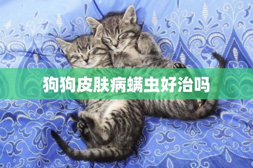 狗狗皮膚病螨蟲好治嗎