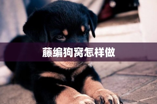 藤編狗窩怎樣做