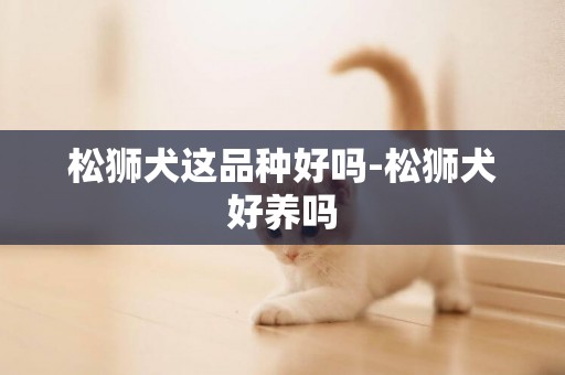 松獅犬這品種好嗎-松獅犬好養嗎