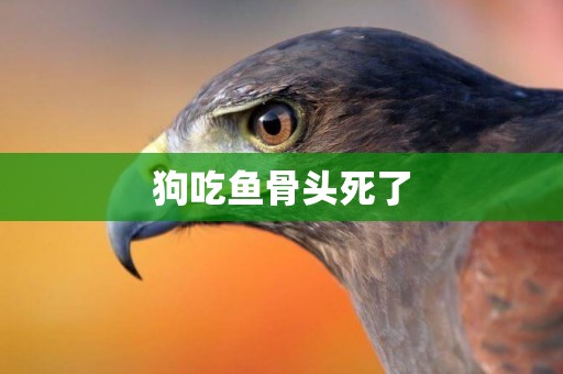 狗吃魚骨頭死了