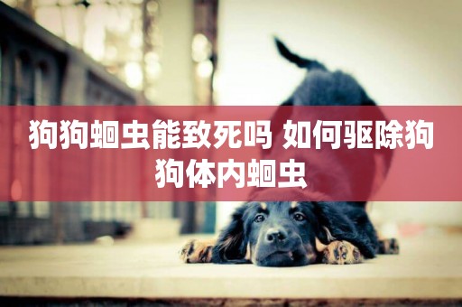 狗狗蛔蟲能致死嗎 如何驅除狗狗體內蛔蟲