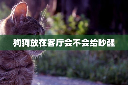 狗狗放在客廳會不會給吵醒