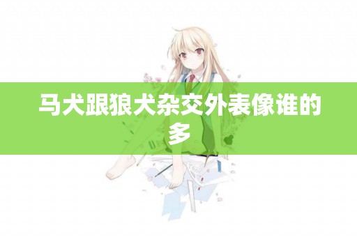 馬犬跟狼犬雜交外表像誰的多
