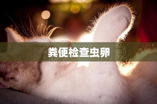 糞便檢查蟲卵