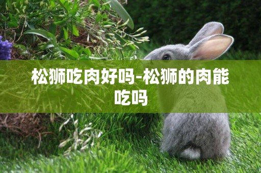 松獅吃肉好嗎-松獅的肉能吃嗎