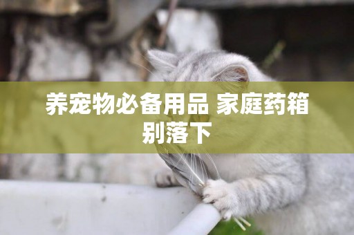 養寵物必備用品 家庭藥箱別落下