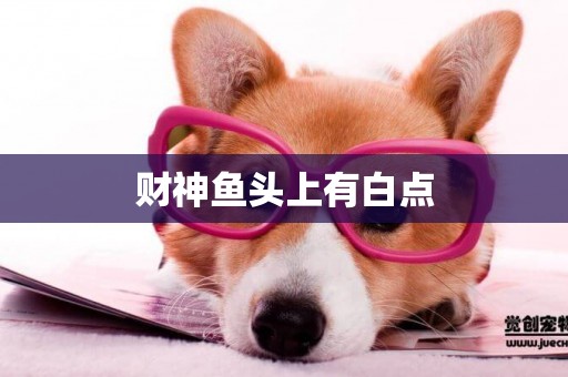 財神魚頭上有白點