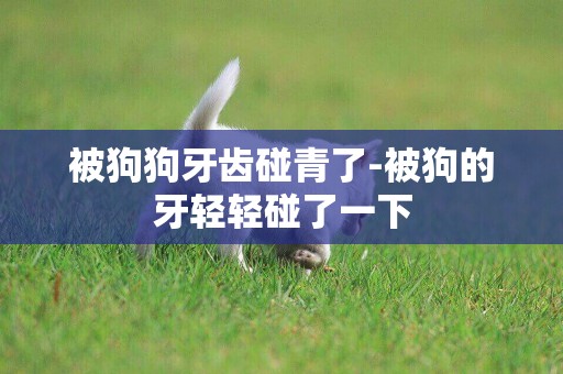 被狗狗牙齒碰青了-被狗的牙輕輕碰了一下