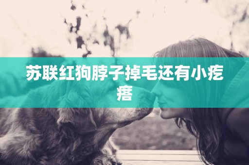 蘇聯紅狗脖子掉毛還有小疙瘩