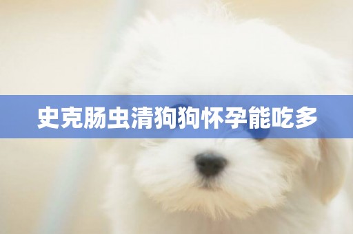 史克腸蟲清狗狗懷孕能吃多