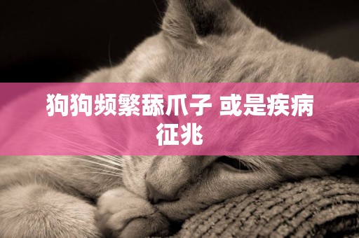狗狗頻繁舔爪子 或是疾病征兆