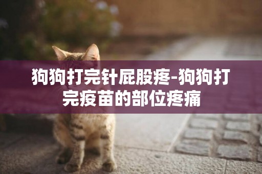 狗狗打完針屁股疼-狗狗打完疫苗的部位疼痛