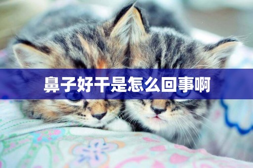 鼻子好干是怎么回事啊