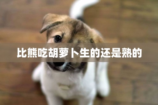 比熊吃胡蘿卜生的還是熟的