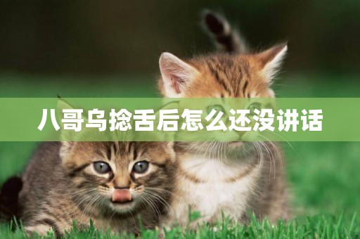 八哥烏捻舌后怎么還沒講話