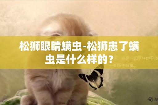 松獅眼睛螨蟲-松獅患了螨蟲是什么樣的？