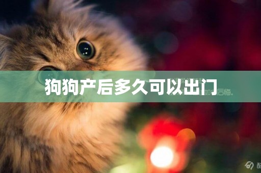 狗狗產后多久可以出門