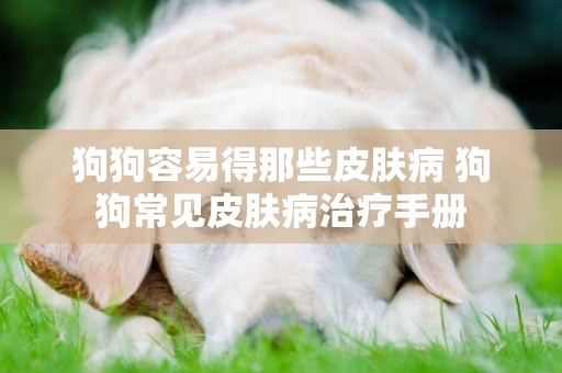 狗狗容易得那些皮膚病 狗狗常見皮膚病治療手冊