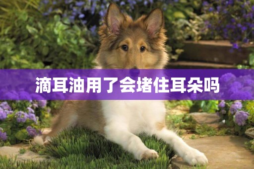 滴耳油用了會堵住耳朵嗎